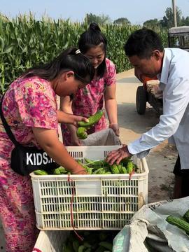 台湾景美中学吃瓜,一场别开生面的“吃瓜”盛宴