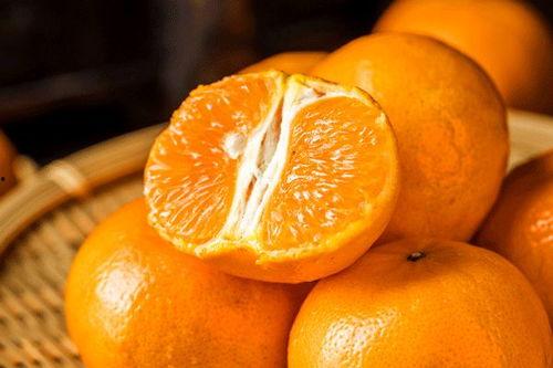 樊樊吃瓜多巴胺,多巴胺驱动的快乐盛宴