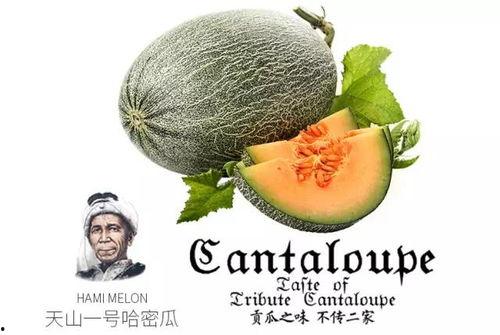 吃瓜卡掉点,揭秘娱乐圈幕后真相