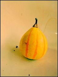 临沂新沂吃瓜,夏日吃瓜盛宴，品味地方特色