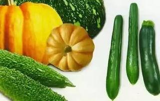 小红书哪里吃瓜,揭秘隐藏在美食背后的八卦风云