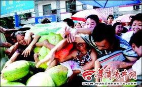 目击证人1吃瓜,吃瓜背后的惊人真相