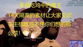 吃鸡呆瓜西游,一场奇幻的冒险之旅