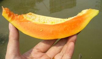 12月吃瓜实况,盘点娱乐圈年度大瓜