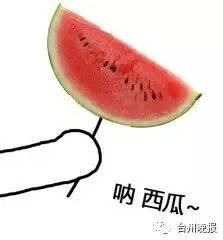 求瓜 吃瓜,揭秘“求瓜吃瓜”背后的娱乐生态