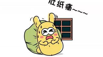 吃瓜群众吃的瓜子,揭秘吃瓜群众钟爱的瓜子世界