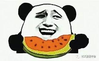 许公子吃瓜群众,揭秘娱乐圈幕后风云