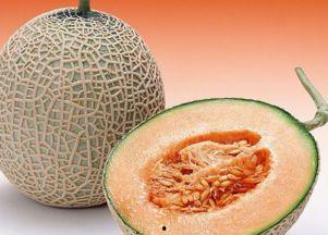 肾虚吃哈密瓜好吗,肾虚者食用哈密瓜的适宜性探讨