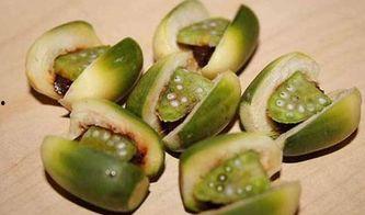 吃哈密瓜把嘴吃烂,美味与挑战并存，嘴部护理攻略大揭秘