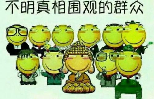 吃瓜群众小豆子