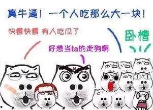 吃瓜群众之一全集,揭秘娱乐圈背后的真相与笑料